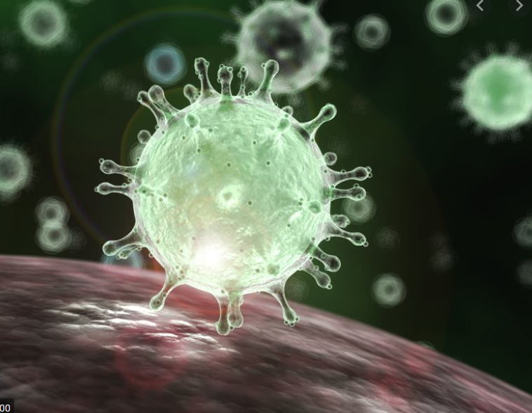 Coronavirus (COVID-19)